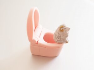トイレと羊