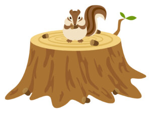 どんぐりとリス
